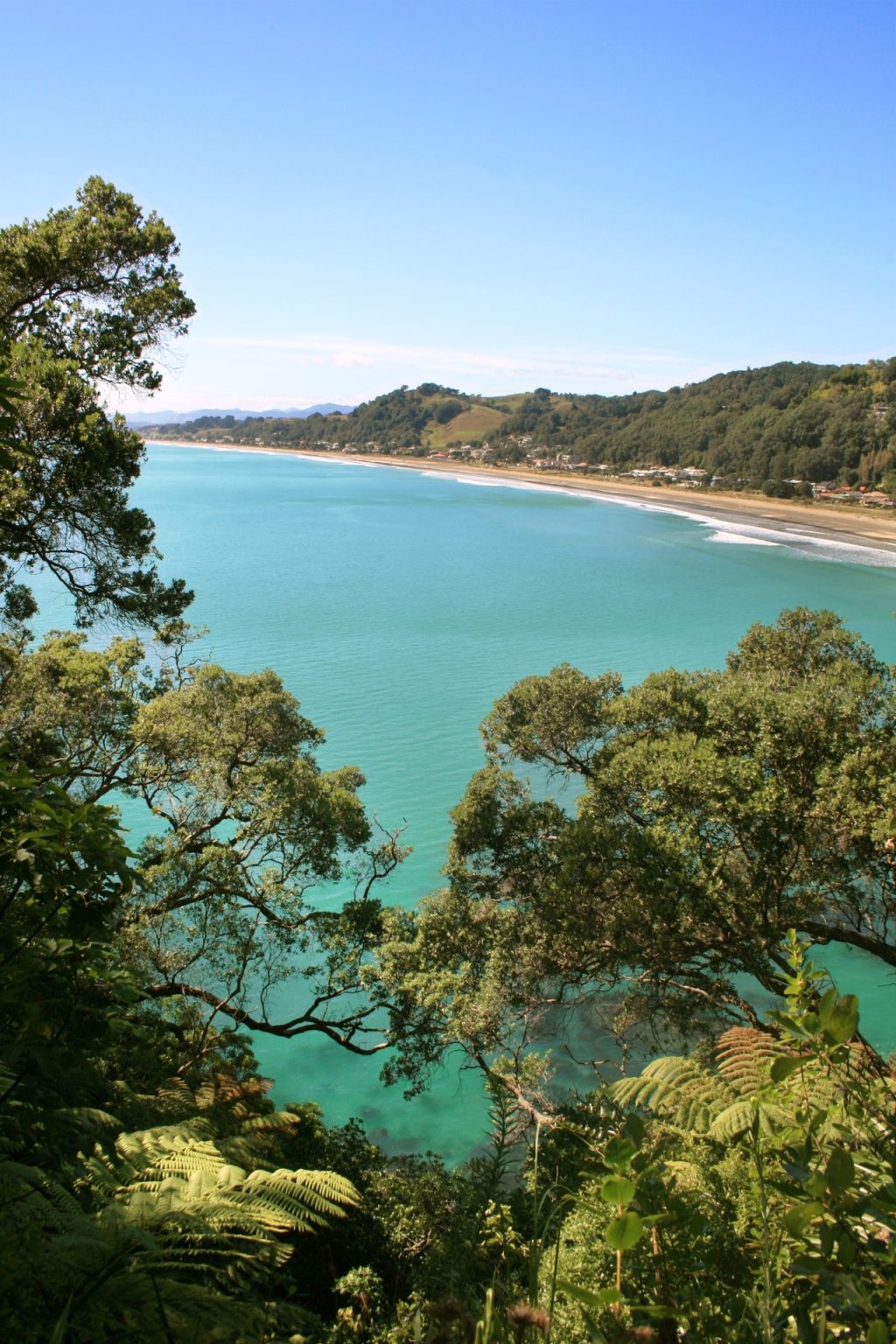 Best beaches in the North Island – Shore Rentals