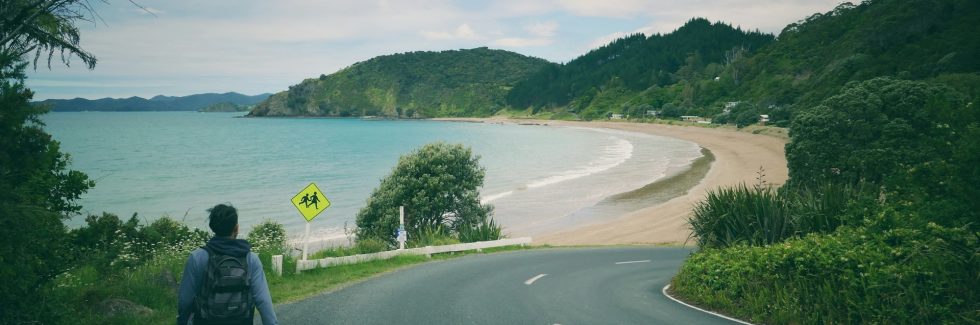 person walking down side of road